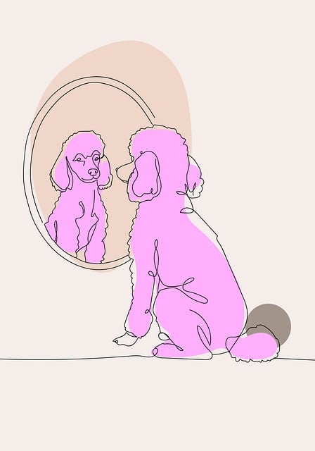 Free poodle dogs nature illustration