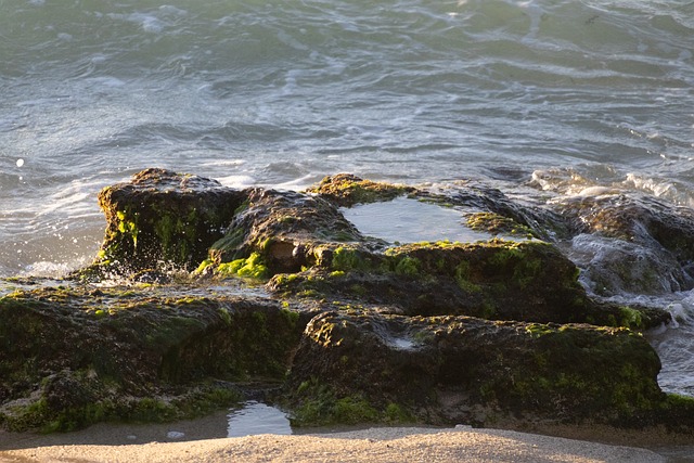 Free Water Nature photo and picture