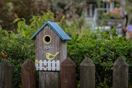 Vogelhaus, Garten, Naturschutz, Gefieder