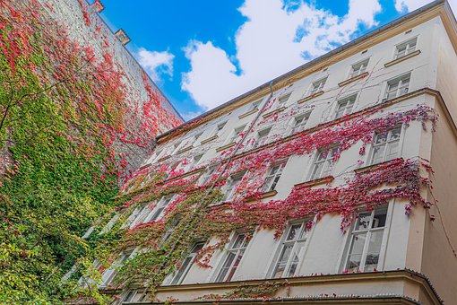 Architektur, Berlin, Haus, Herbst