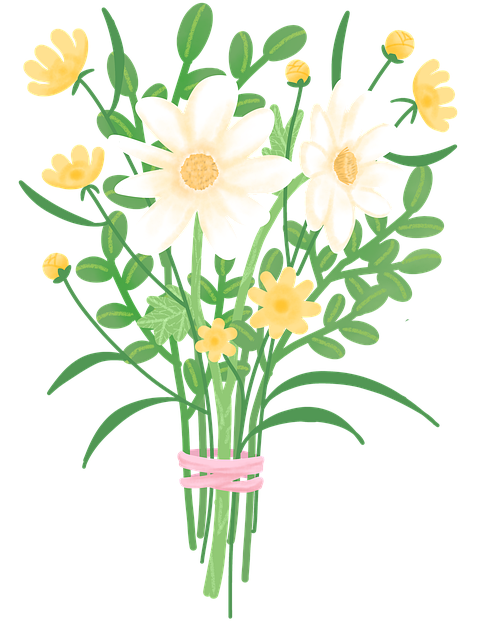 Blomst, Buket, Tusindfryd, Kosmos