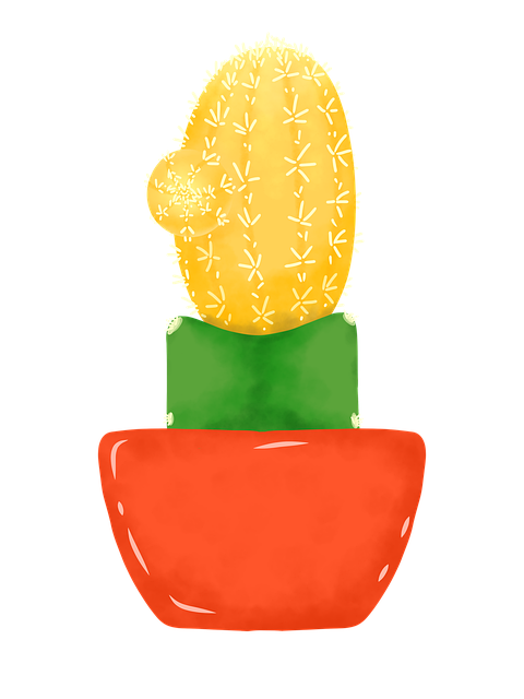 Kaktus, Natur, Plante, Flora, Botanik