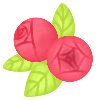 Blomst, Natur, Forår, Flora, Rose, Have