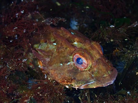 Free Sea Nature photo and picture