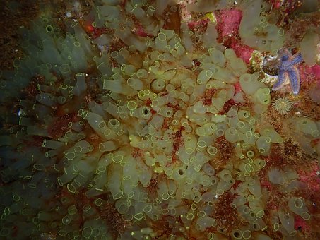 Free Sea Nature photo and picture