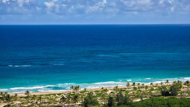 Playa, Mar, Océano, Costa, Tropical