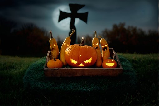 Pompoen, Halloween, Herfst, Natuur