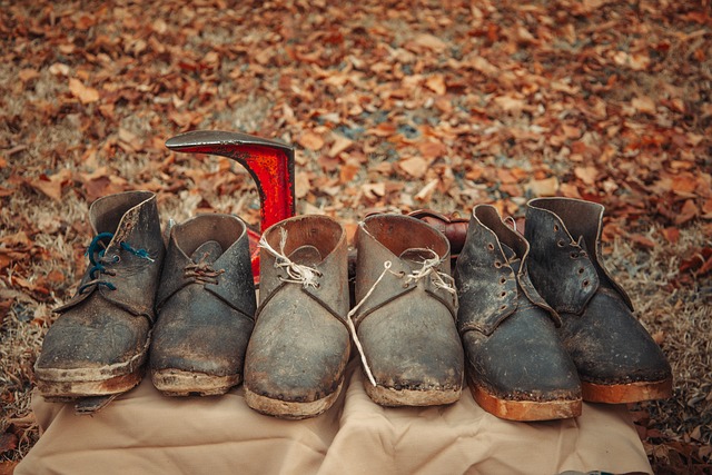 Free Leather Shoes Old Shoes photo and picture