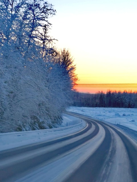 Free Winter Cold photo and picture