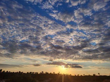 Rivier, Zonsondergang, Palmbos, Lucht