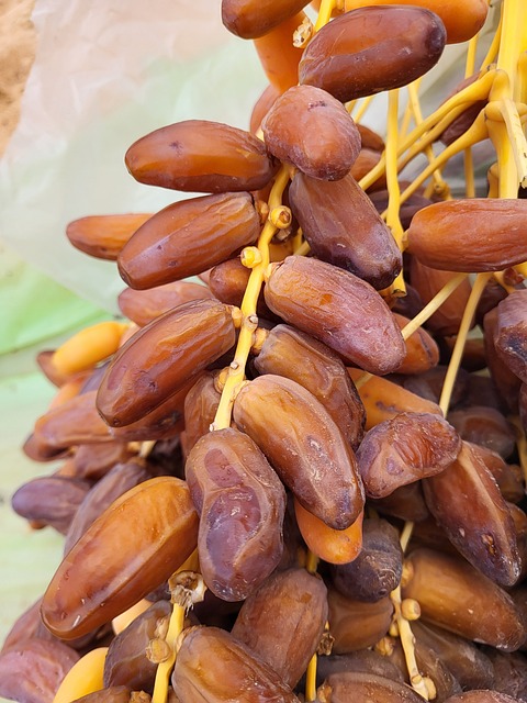 Dadels, Bomen, Fruit, Palmboom, Natuur