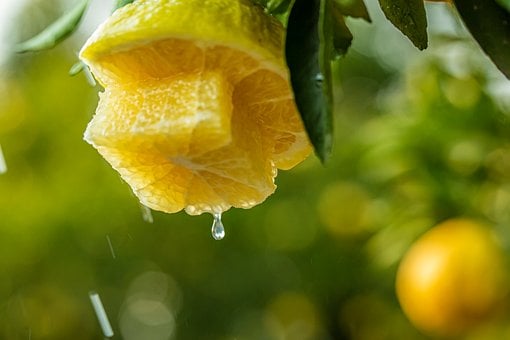 Free High-Definition Images photo and picture