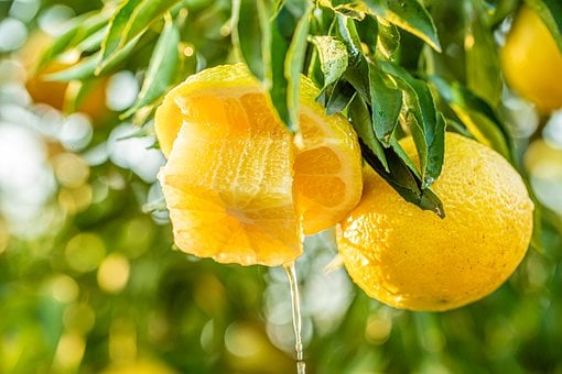 Free High-Definition Images photo and picture