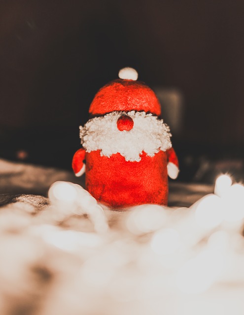 Free Christmas Santa photo and picture