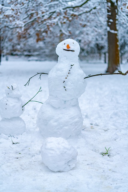 Free Snowman Grumpy photo and picture