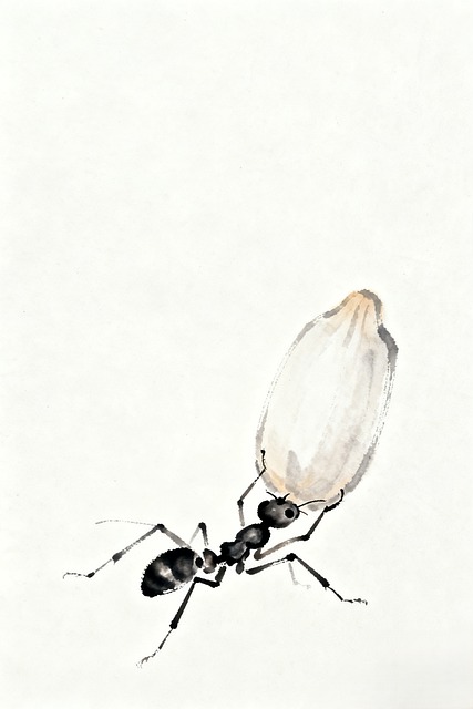 Free ant intricate ink drawing illustration