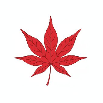 Ahorn Blad, Rød, Efterår, Natur, Symbol