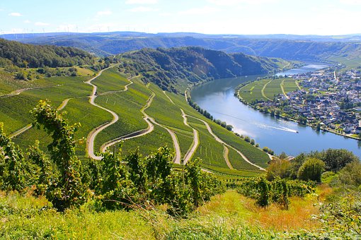 Moselle, Tok, Vinice, Krajina