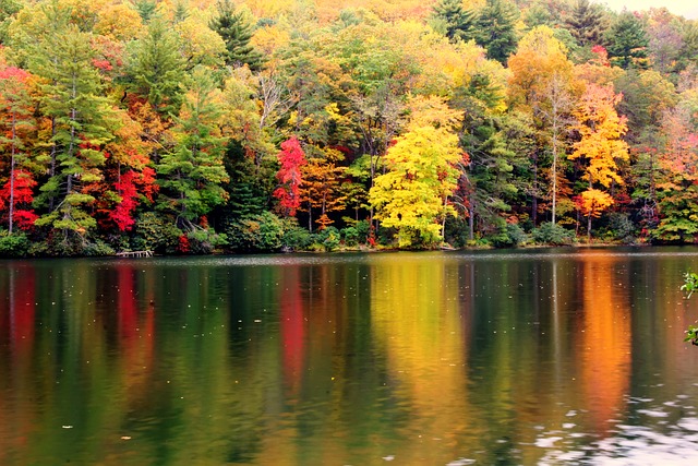 Free Autum Nature photo and picture