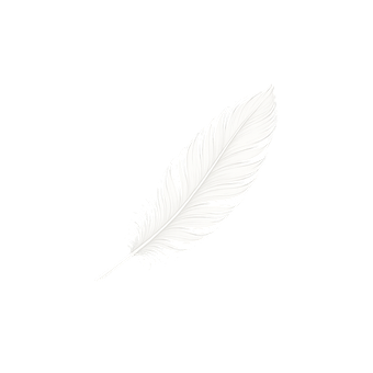Free Feather Bird ai generated image and illustration