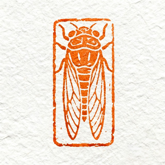 Free cicada insect bug illustration