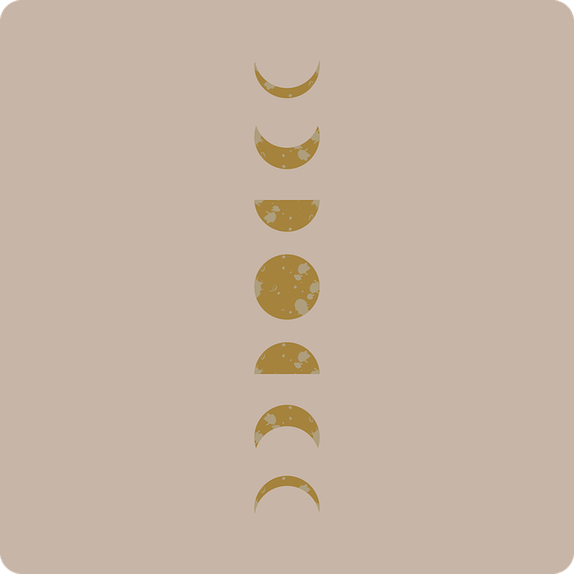 Free moon moonlight night vector