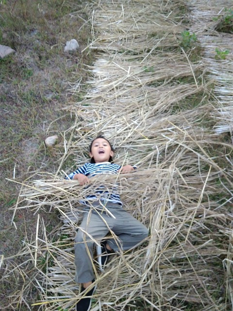 Kind, Geluk, Lachen, Portret, Gras