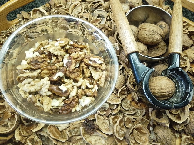 Free Nuts Nut Shells photo and picture