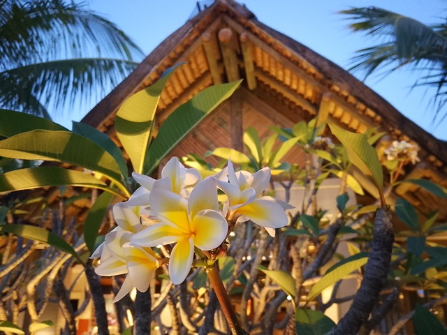 Free Flowers Architecture photo and picture