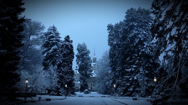 Free Cold Nature photo and picture
