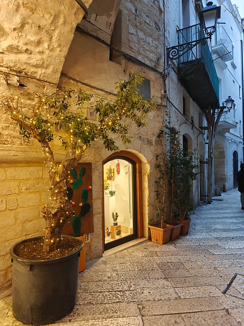 Free Alley Street photo and picture