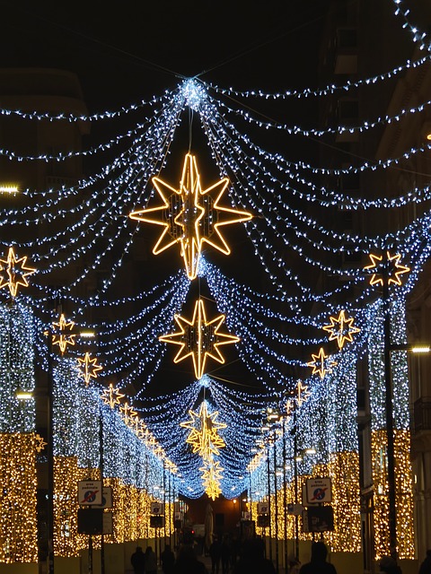 Free Christmas Decoration photo and picture