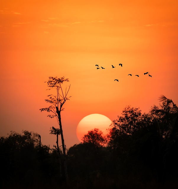 Zonsondergang, Lucht, Landschap