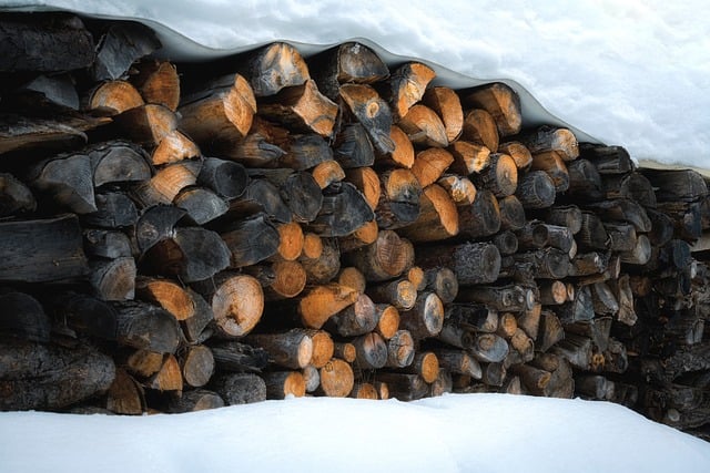 Free Winter Wood photo and picture