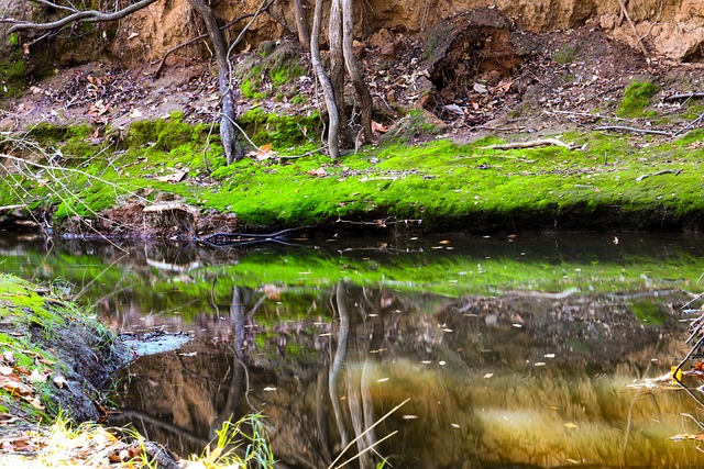 Free Conejo Creek Creek photo and picture