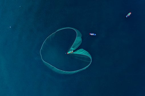 Fischerei, Netz, Meer, Blau, Boot