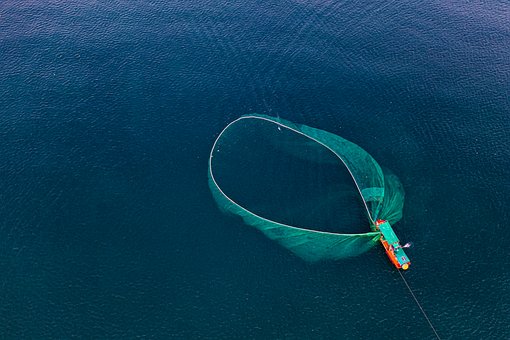 Fischen, Boot, Meer, Netz