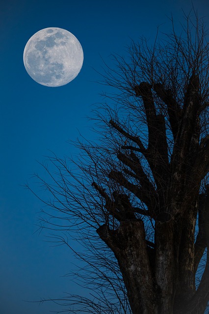 Maan, Nacht, Maanlicht, Lucht, Luna