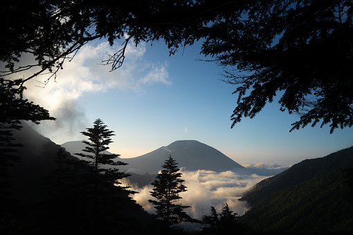 풍경, 자연, 산, 나무