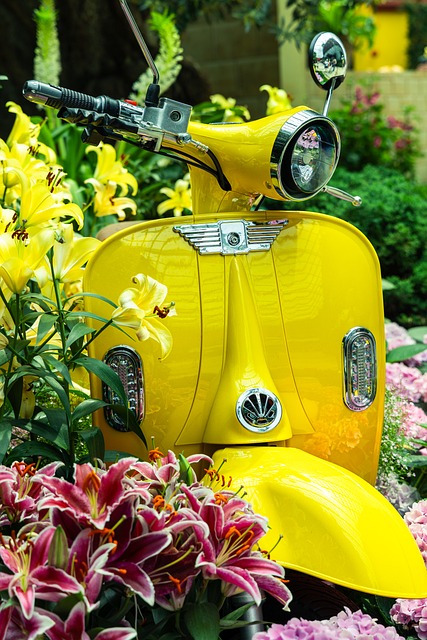Lambreta, Jardim, Bloom, Florescer