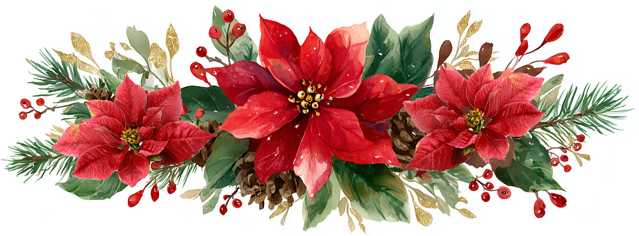Weihnachten, Kranz, Kiefer