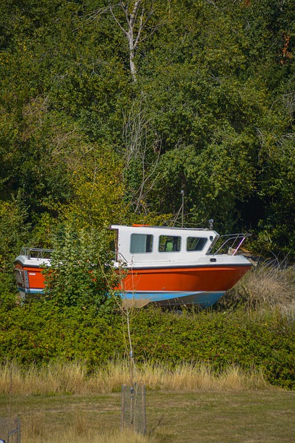 Free Boat Nature photo and picture