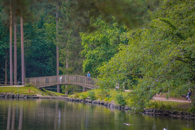 Free Nature Forest Of Dean photo and picture