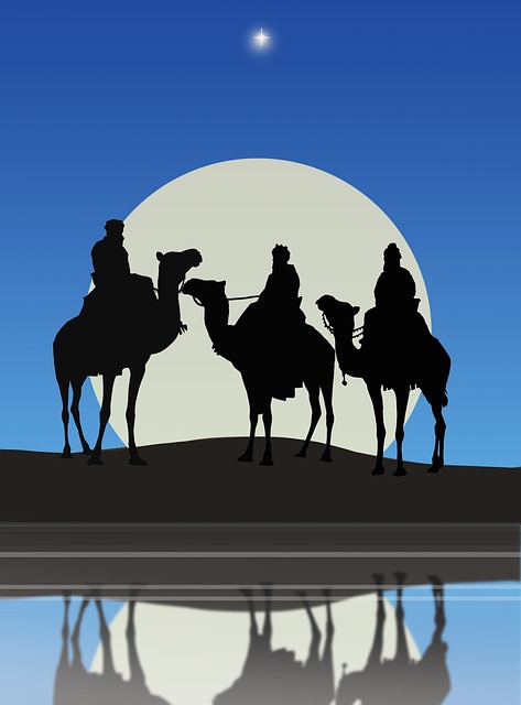 Free Three Wise Men Camel photo and picture