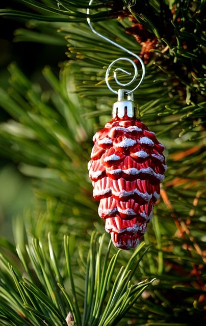 Free Pinecone Christmas Decoration photo and picture