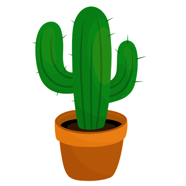 Free Cactus Nature photo and picture