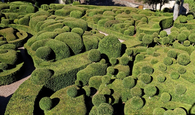 Free Garden Topiary photo and picture