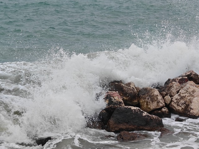 Free Waves Sea photo and picture