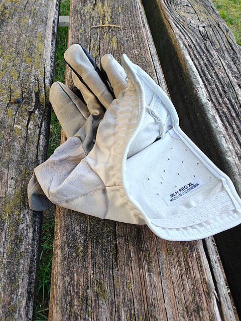 Free Golf Sport photo and picture