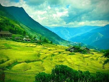 Terrassierte Felder, Vietnam, Natur